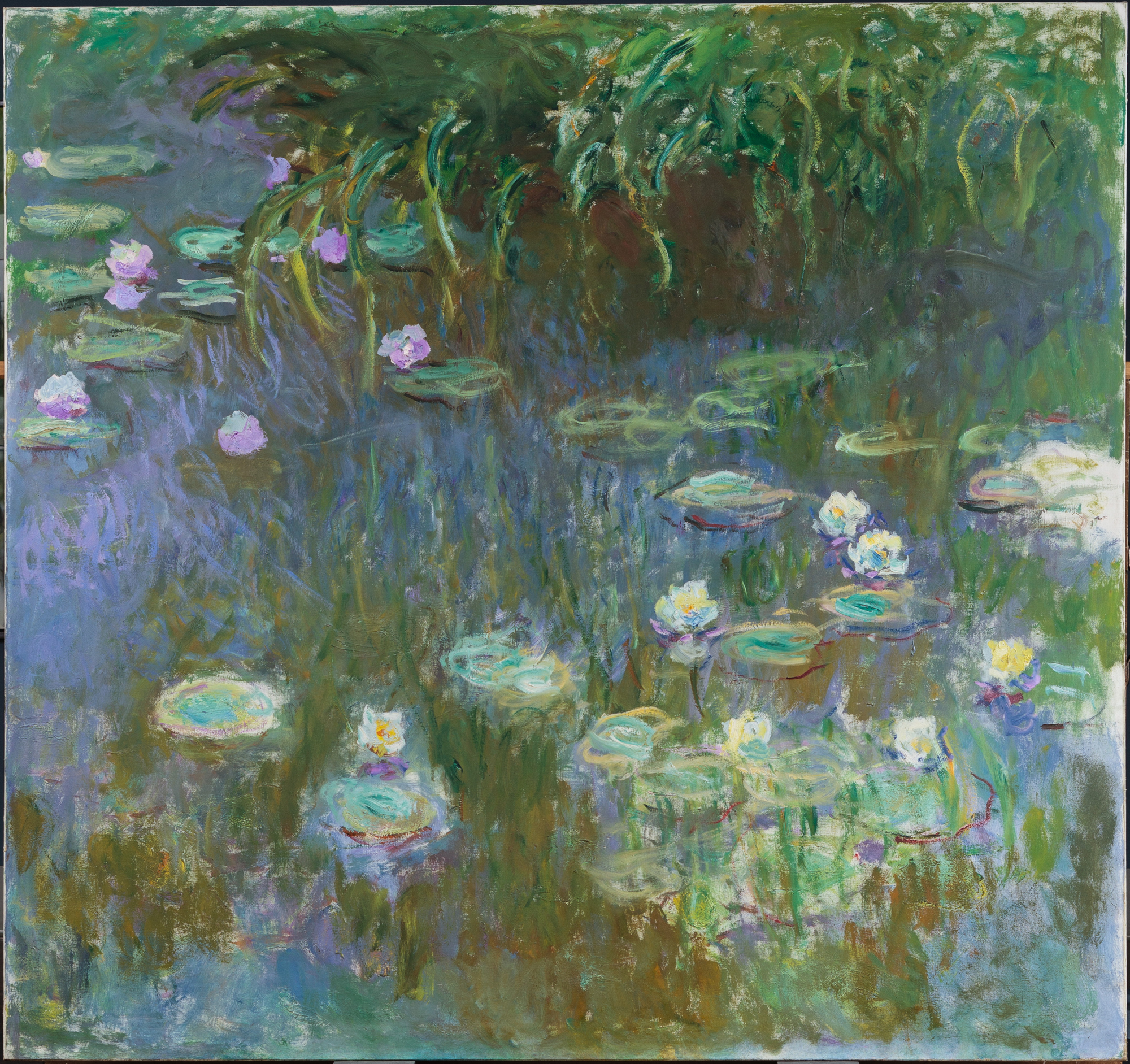 Claude Monet, Water Lilies, c.1922, oil on canvas | Courtesy of AGSA
